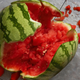 Illustration for article titled Finally, an answer to the age old question: How many elastic bands does it take to explode a watermelon?